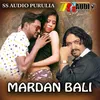 About MARDAN BALI Song