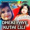 About DHEKI PAYE KUTAI LILI Song