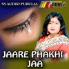 About JAARE PHAKHI JA Song