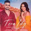 Tera Ishq