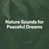 Nature Sounds for Peaceful Dreams, Pt. 1