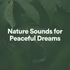 Nature Sounds for Peaceful Dreams, Pt. 3