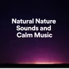 Natural Nature Sounds and Calm Music, Pt. 1