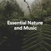 Essential Nature and Music, Pt. 2