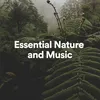 About Essential Nature and Music, Pt. 5 Song