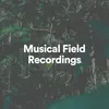 Musical Field Recordings, Pt. 3