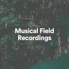 About Musical Field Recordings, Pt. 13 Song