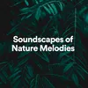 Soundscapes of Nature Melodies, Pt. 1