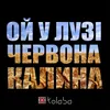 About Ой у лузі червона калина Song