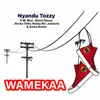 About Wamekaa Song