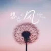 About 想念的风 Song