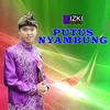About Putus Nyambung Song