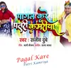 About Pagal Kare Patri Kamriya Song