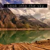 Look into the sky