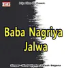 About Baba Nagriya Jalwa Song
