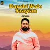 About Baurhi Wale Saayian Song