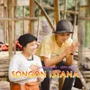 About Songon Istana Song