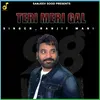 About Teri Meri Gal Song