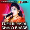 About TUMI KI AMAI BHALO BASHB Song