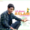 About Teri Mohabbat Aslam Song