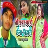 About Tora Pa Marai Chho Chhaila Bihari Song