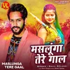 About Maslunga Tere Gaal Song