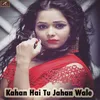 About Kahan Hai Tu Jahan Wale Song