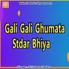 About Gali Gali Ghumata Stdar Bhiya Song