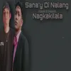 About Sana'y Di Nalang Nagkakilala Song