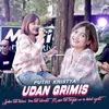 About Udan Grimis Song