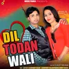 About Dil Todan Wali Song