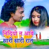About Nidiyo N Aave Sari Sari Raat Song