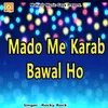 About Mado Me Karab Bawal Ho Song