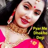 About Pyar Me Dhokho Degi Song
