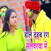 About Daal Dehab Rang Salavarava Mein Song