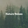 Nature Noises, Pt. 52