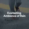 About Amazon Forest Rain Song