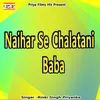 About NAIHAR SE CHALATANI BABA Song