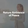 About Nature Ambience of Peace, Pt. 21 Song