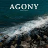 About Agony Song