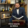 About Əli Movla Song