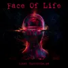 About Face Of Life Song