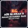 About ADE SU NIKAH / MALAM INI TANGKIS DANG MENGKANE Song
