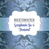 Symphony No. 6 in F-Sharp Minor, Op. 68 "Pastoral": IV. Gewitter. Sturm. Allegro