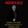 About Gönlüm Bir Güzele Düştü Erenler Song