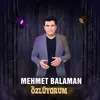 About Özlüyorum Song