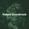 About Nature Soundtrack, Pt. 6 Song