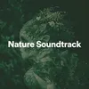 Nature Soundtrack, Pt. 8