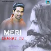 About Meri Chahat Tu Song