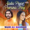 About Sada Piyar Purana Hey Song